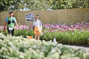 BIB: 
                            <button type="button" onclick="openModal(27795571)" class="btn btn-primary btn-sm float-right btn-popup" data-toggle="modal" data-target=".modal-high-quality">
                        <i class="fas fa-shopping-cart"></i> Add to Cart
                    </button>
                                            <button type="button" onclick="isThisMe(27795571, true)" class="btn btn-success btn-sm float-right btn-popup btn-isme hidden" data-toggle="tooltip" data-placement="bottom" title="นี่คือรูปของคุณใช่ไหม คลิกที่นี่เพื่อเอาเข้าอัลบั้ม">
                        <i class="fas fa-plus"></i> Add to album
                    </button>
                    <button type="button" onclick="isThisMe(27795571, false)" class="btn btn-warning btn-sm float-right btn-popup btn-isnotme hidden">
                        <i class="fas fa-ban"></i> Remove from album
                    </button>